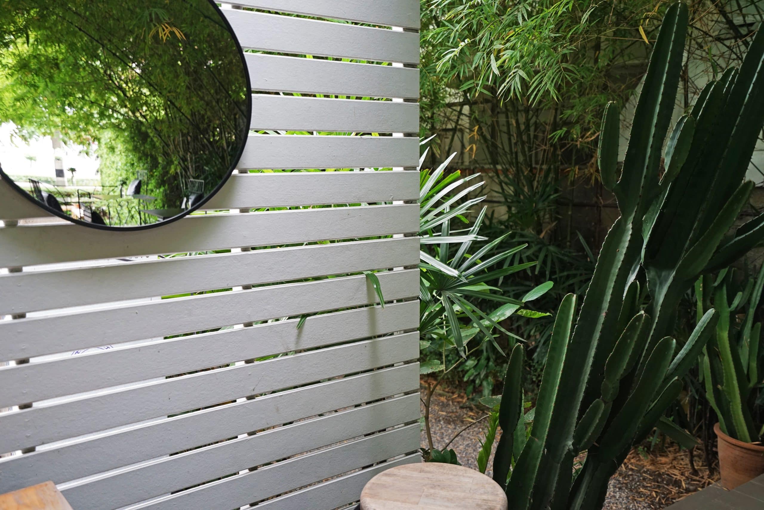 Modern small backyard with white slatted privacy screen, round mirror reflecting greenery, and tropical plants including cactus and palm.