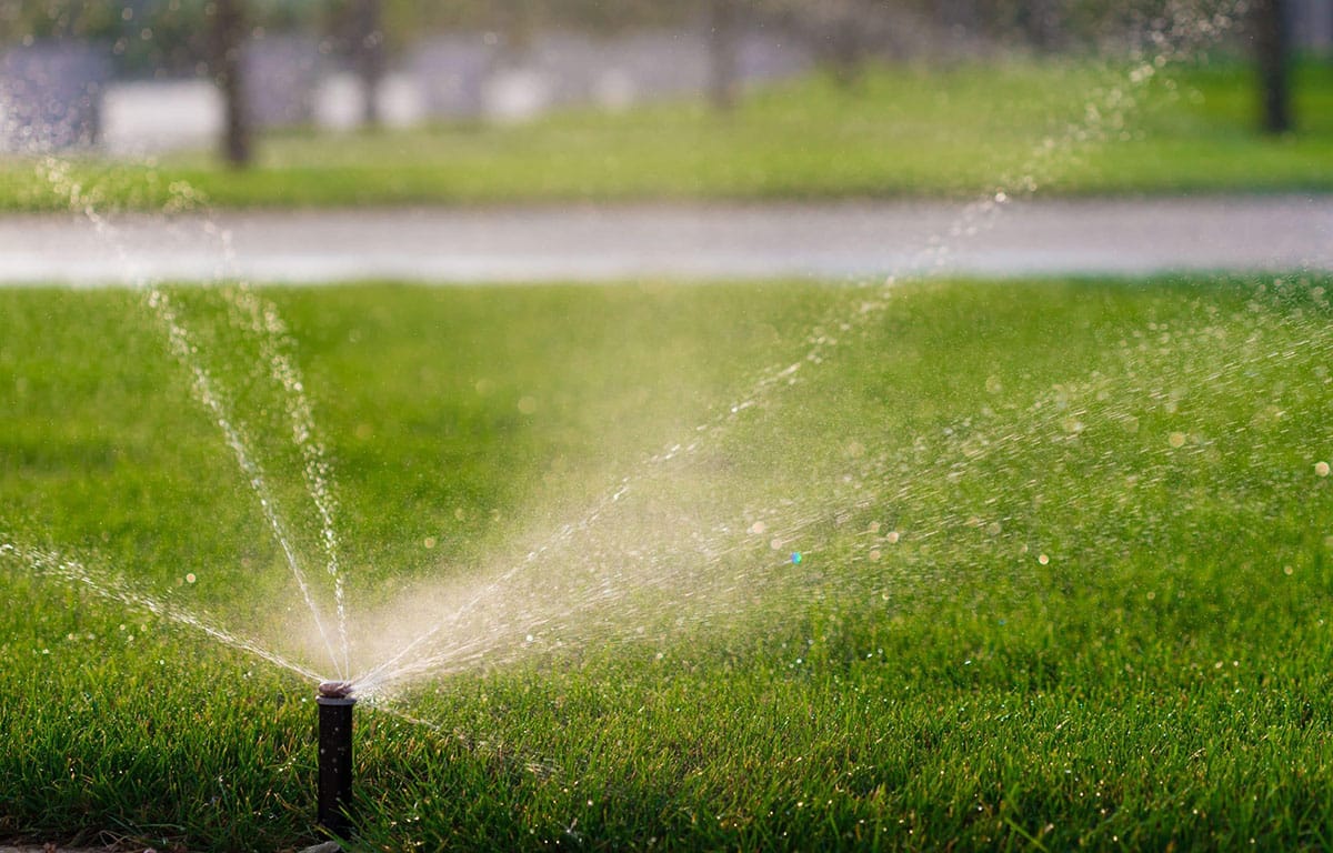 Sod installation and irrigation system for a Lake Martin lawn